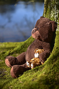 Тедди, Мягкая игрушка, игрушка, медведь, мягкий, мило, Счастливый