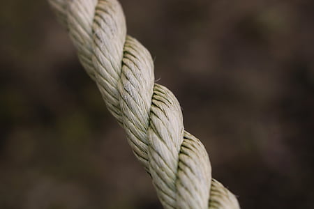 rope, outdoor, cable, weathering, nature, power