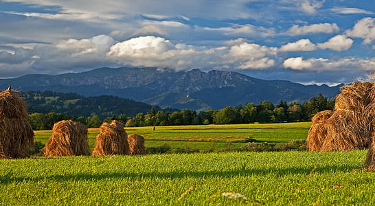 dried grass, podhale, tatry, mountains, poland, landscape, view