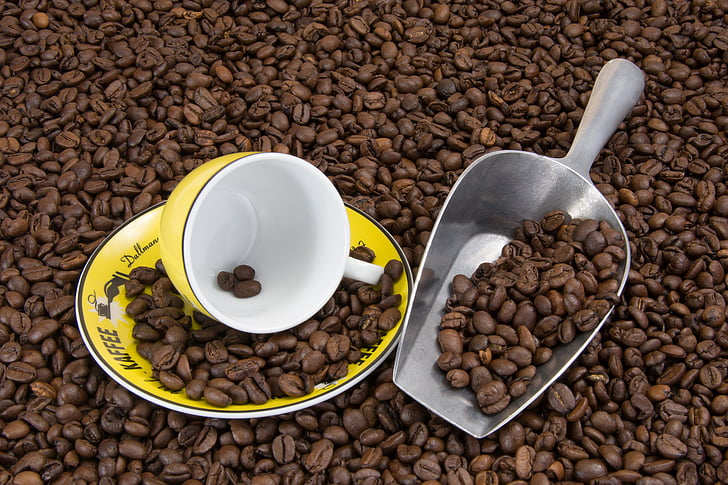 kavos pupelės, kavos puodelis, puodelis, dangtelis, kavos, lėkštė, rudos spalvos