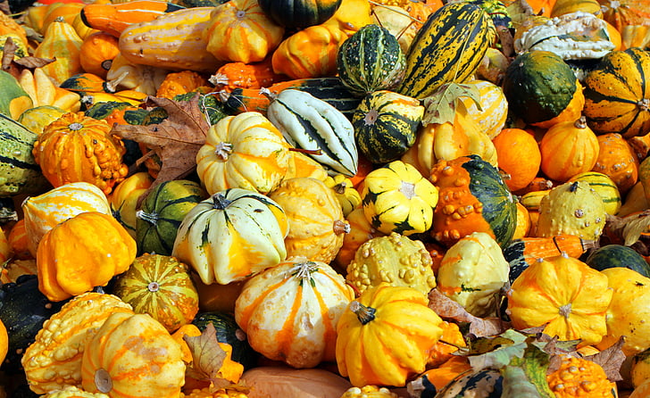 dynie, jesień, Październik, żniwa, warzywa, pomarańczowy, kolorowe