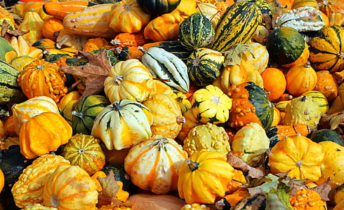 ķirbji, rudens, oktobris, ražas, dārzeņi, oranža, krāsains