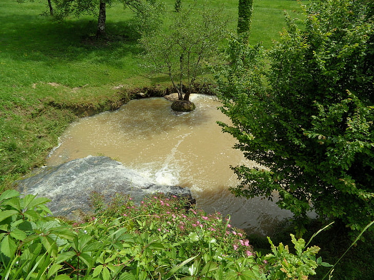 creek, nature, basin, field
