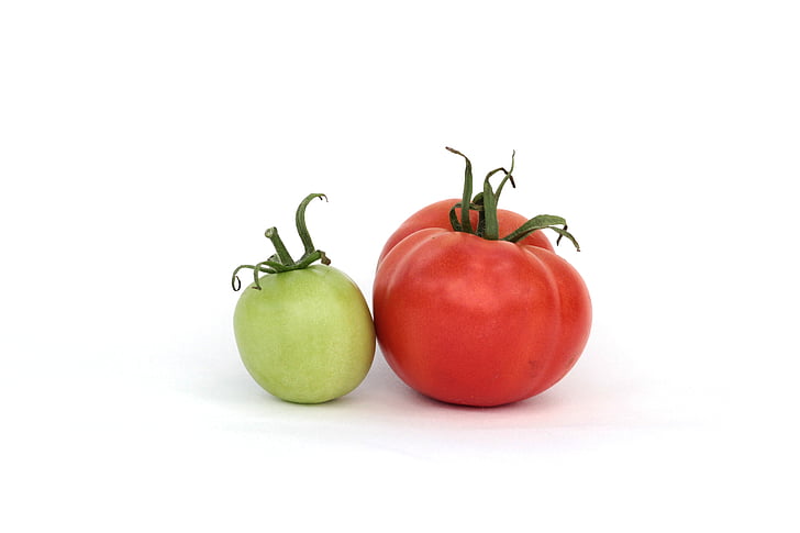 tomatoes, red, green, summer, dacha, harvest, vegetables