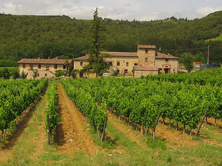 Chiantin vuorilla, Toscana, viini, maisema, Vineyard, viininviljelyn, viiniköynnösten