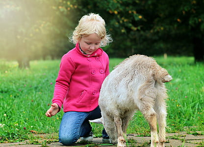 бебе, коза, благословия, диалог, комуникация, доброта, спокойствие