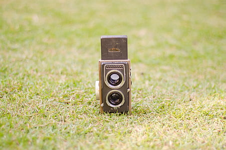 gresset, Foto, fotografi, Vintage, Vintage kamera, feltet, Ingen mennesker
