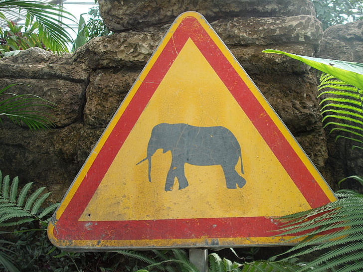 signe, danger, animaux