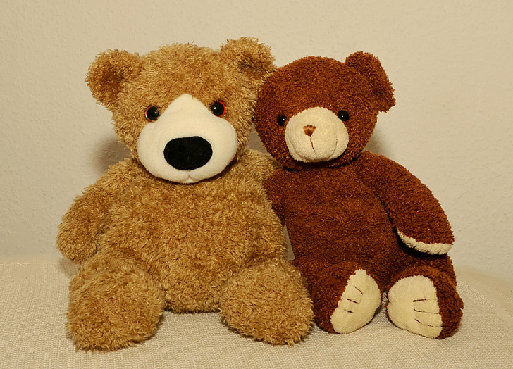 Teddy, Miś, Pluszak, przyjaźni, niedźwiedzie, przytulanki