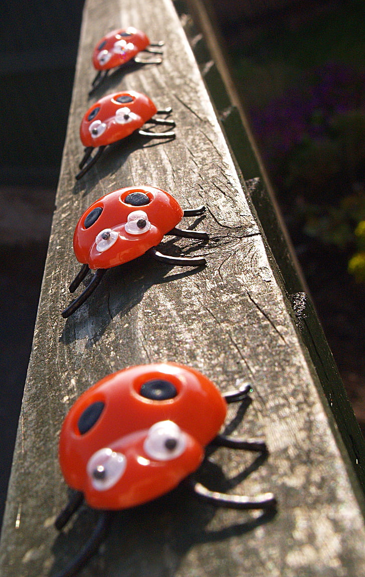ladybirds, fence, toys, ladybug, garden, cute, outdoor