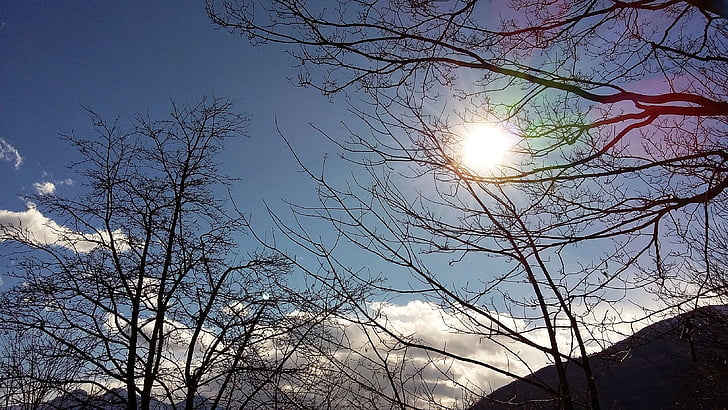 solen, trær, Ray, himmelen, skyer, natur, treet