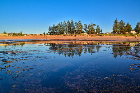 mona vale, sydney, australia, beach, reflection