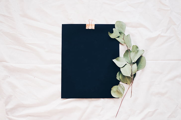 black, bed, sheet, green, plant, leaves, flat lay