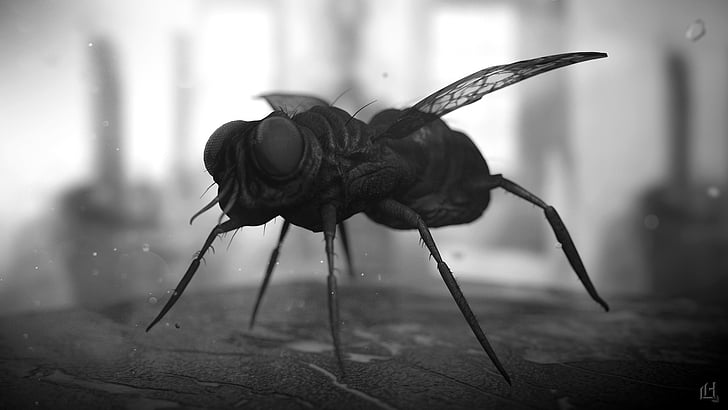 vliegen, 3D, render, insect, macro, weergave