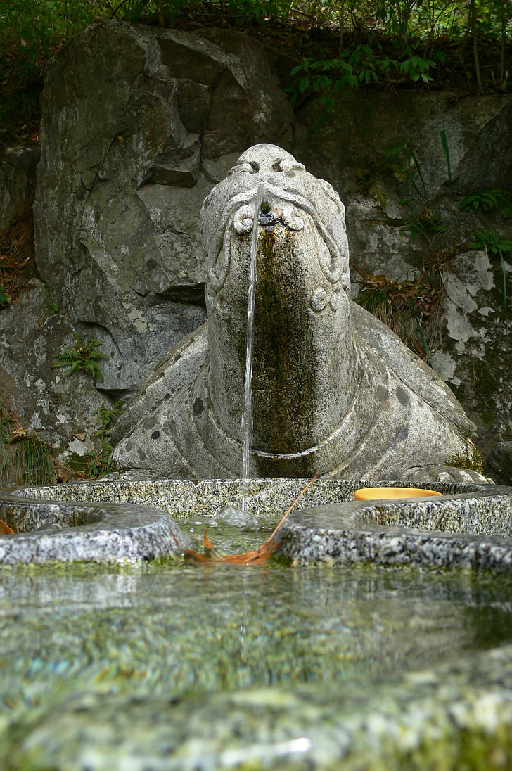 fontein, steen, schildpad, water, drinken, vers, gesneden