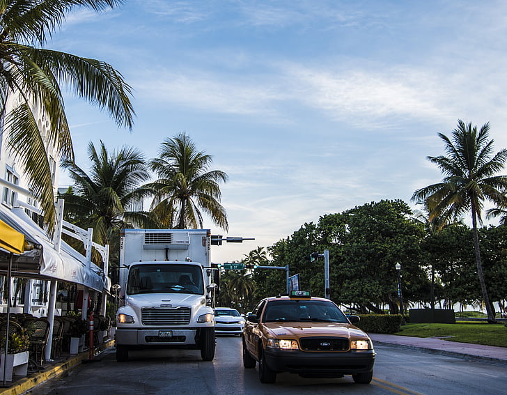 Miami, Plaża, Miami beach, świt, Ulica, palmy, samochód ciężarowy