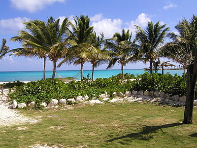 houpací síť, ostrov, Karibská oblast, oceán, Palmové stromy