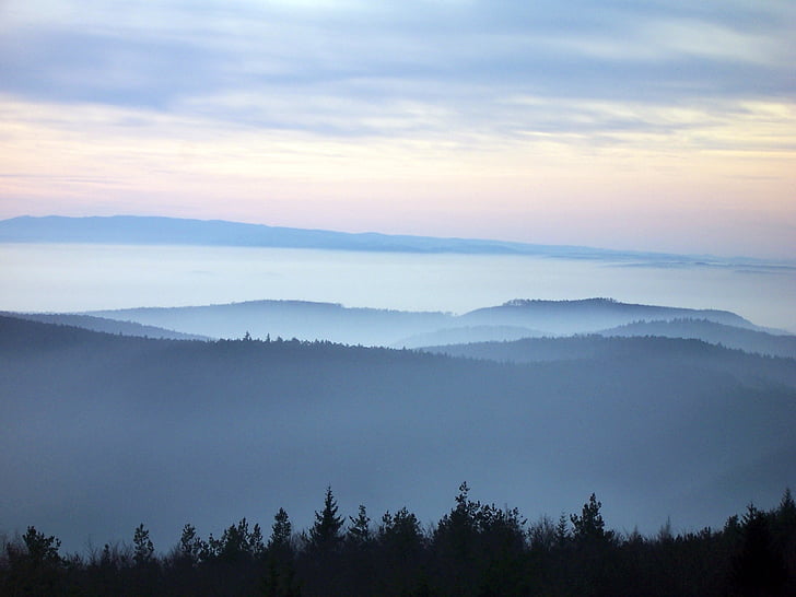 paesaggio, Francia, natura, Alsazia, Vosges Nord, nebbia, foresta