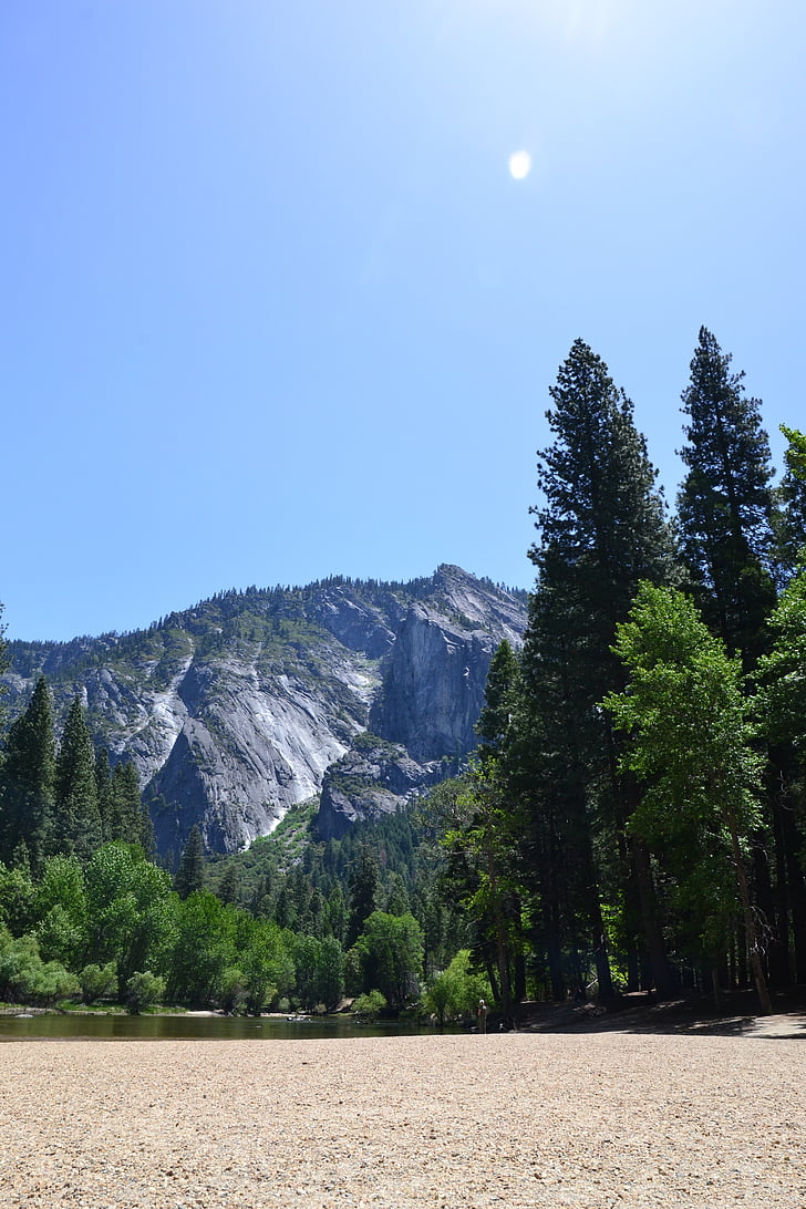 yosemite, california, forest, sun, trees, rock, nature