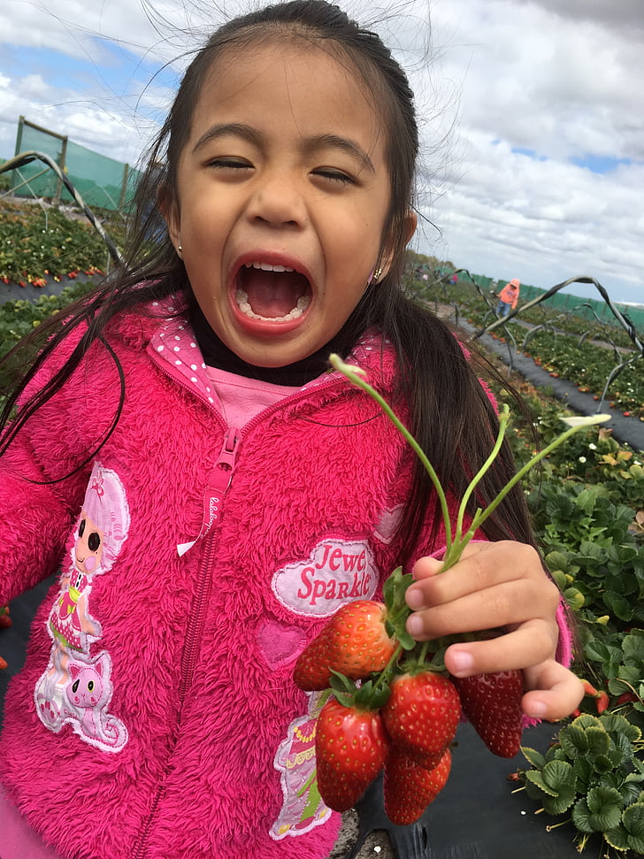 Kid glimlachend plukken aardbeien, Kid, oogst, schattig, schattig, glimlach, Gelukkig