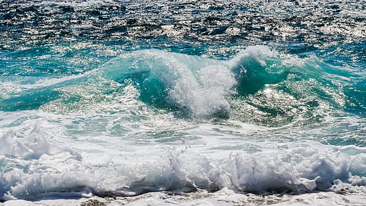 wave, smashing, foam, spray, sea, nature, wind