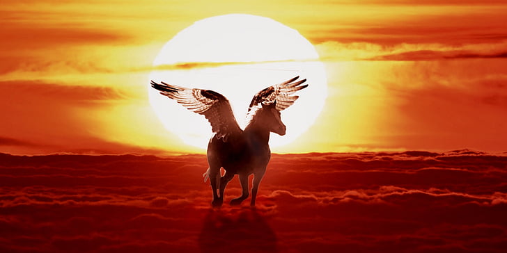ló szárnyakkal, Pegasus, mítosz, naplemente, háttér, természet, Sky