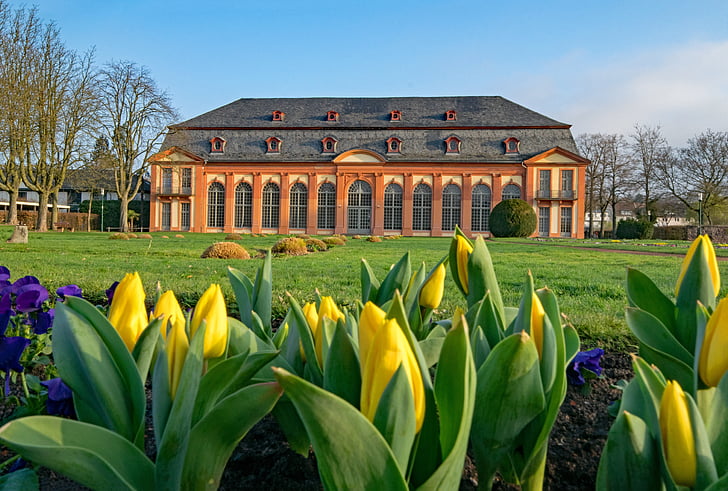 orangery, Darmstadt, Hesse, Saksamaa, kevadel, lilled, tulbid