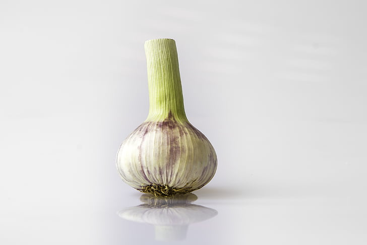 garlic, head of garlic, violet, condiment, allium sativum, garden plant, kitchen