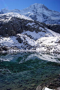Ελβετία, βουνά, βουνό, φύση, φυσικό, χιόνι, Βέρνη