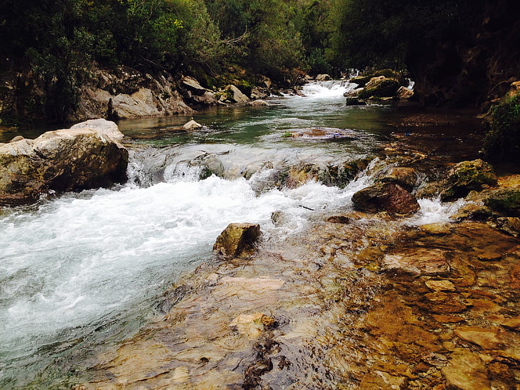 Kaskáda, Creek, na podzim, toku, Les, krajina, pohyb