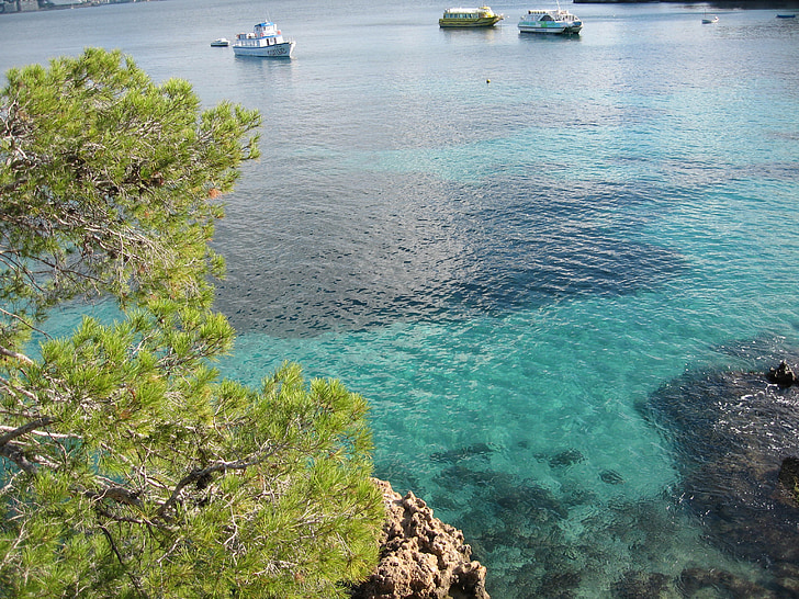 Mallorca, recente, natura, rock, copac, apa, albastru
