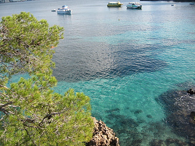 Mallorca, dipesan, alam, batu, pohon, air, biru