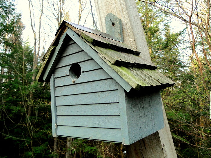 Birdhouse, legno, blu, apertura, uccelli, nidificazione, Polo