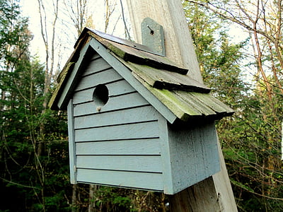 birdhouse, wood, blue, opening, birds, nesting, pole