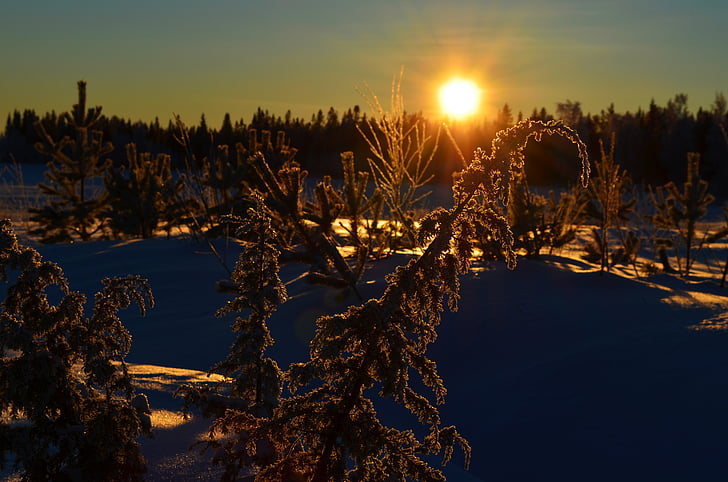 Kış, Norrbotten, Norrland, soğuk, kar, Beyaz, İsveç