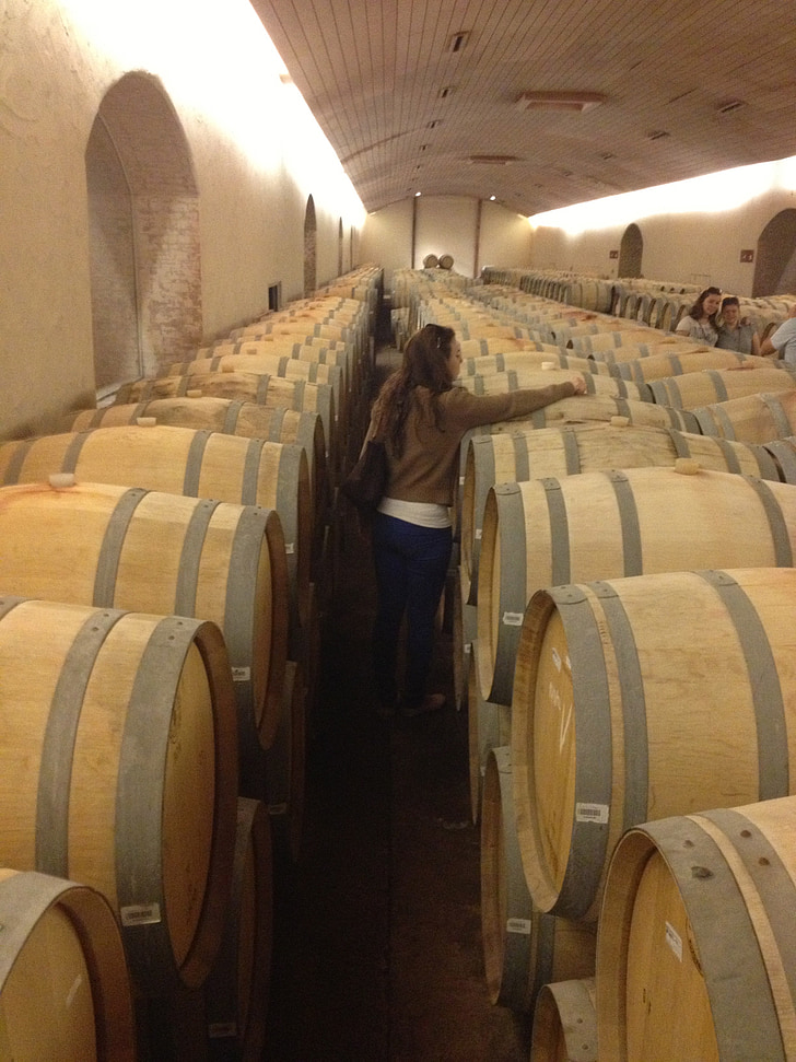 vineyard, liquor, alcohol, barrel, wood