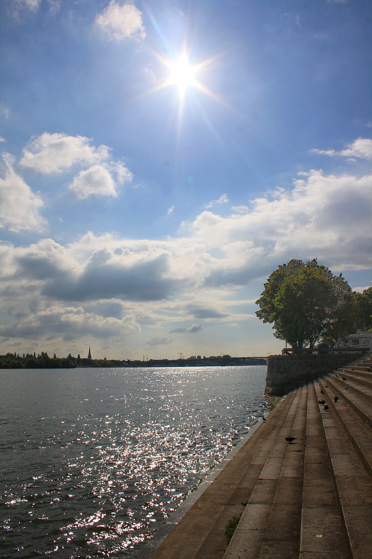 Рейн, река Рейн, Майнц, Германия, природата, слънчева светлина, води
