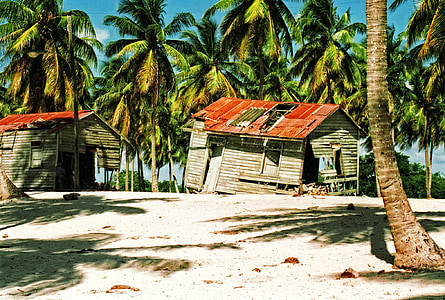 dominican, republic, beautiful, beach, palm trees, rotten, sheds