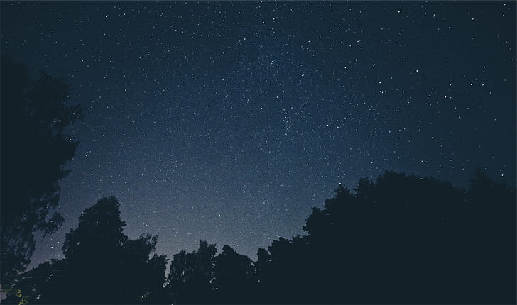 siluets, fotogrāfija, koki, naktī, laiks, zvaigznes, debesis