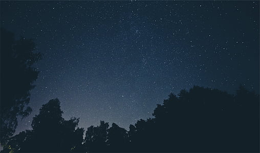 sylwetka, fotografii, drzewa, noc, czas, gwiazdy, niebo