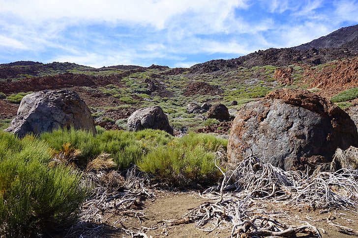 Lawa, Rock, bazalt, Szlak, ścieżka, Teide, park Narodowy Teide