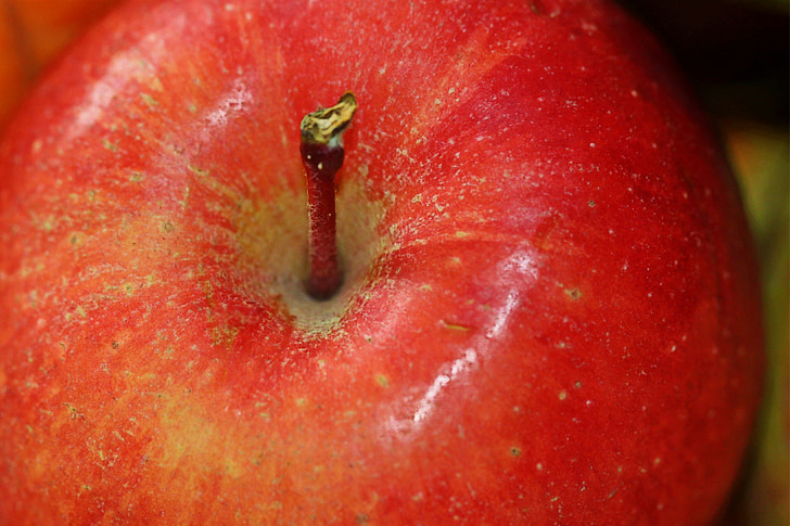 apple, fruit, fruits, vitamins, food, healthy, eat