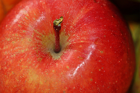 애플, 과일, 과일, 비타민, 음식, 건강 한, 먹으십시오