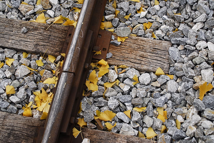 rudeniniai lapai, geležinkelio bėgių, rudenį