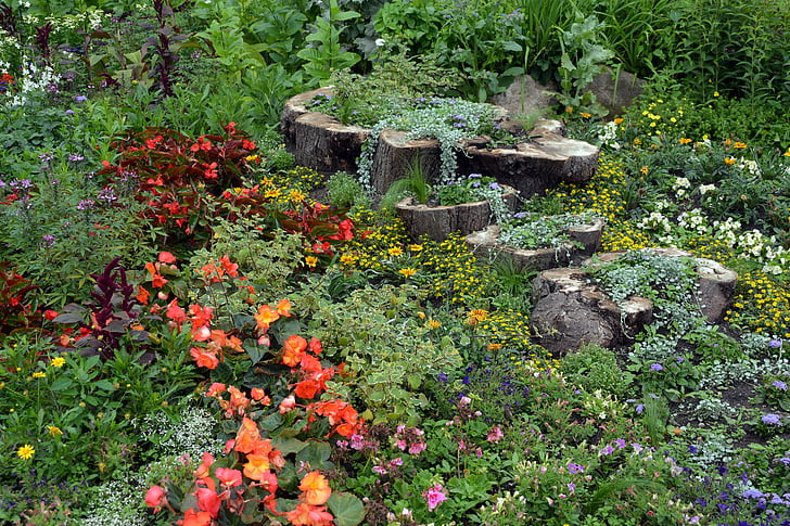 Sân vườn, thời trang, thiết kế Sân vườn, gartendeko, thực vật, thực vật, giường