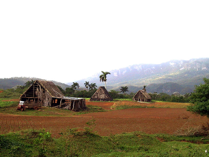 chaty, červená zem, tabaková plantáž, Kuba