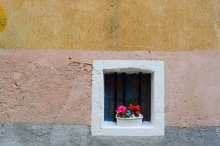 mur, trou, art, conception, fenêtre de, fleur, architecture