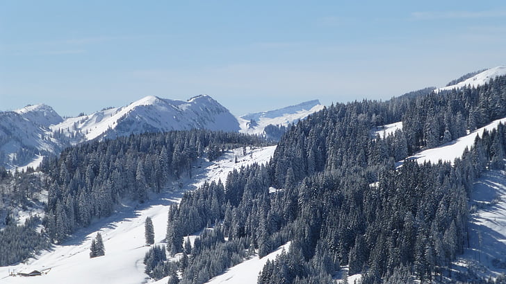 Allgäu, zimowe, śnieg, Słońce, drzewa, panoramy, piękny łysy