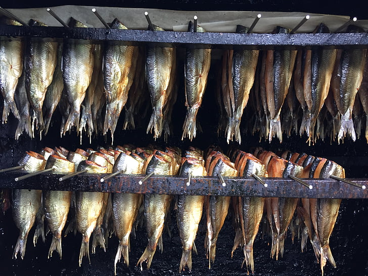 ρέγγα, κάπνισμα, ψάρια, fischraeucherei, τροφίμων, ψάρια στον καπνό, καπνιστά ψάρια