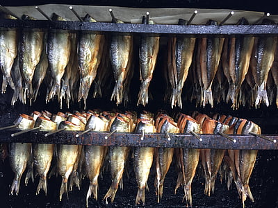 hareng, usage du tabac, poisson, fischraeucherei, alimentaire, pêcher dans la fumée, poisson fumé